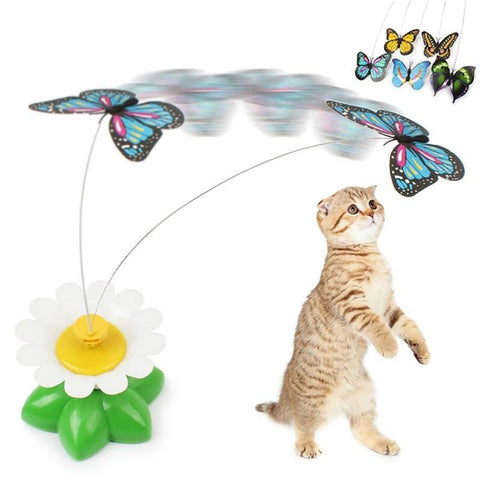 VOGELSPIELZEUG FÜR KATZEN
