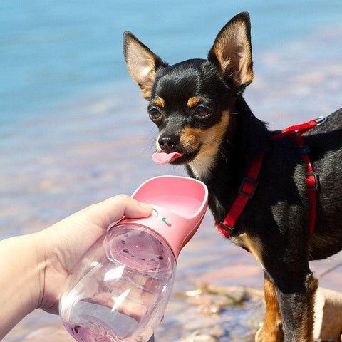 TRAGBARE HUNDE WASSERFLASCHE FÜR UNTERWEGS