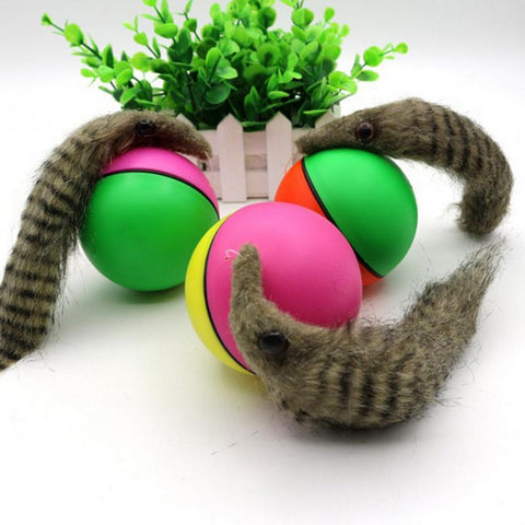 Biber Ball für Haustier