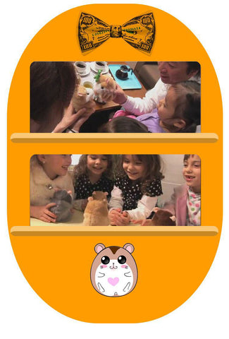 Lustiges Sprechendes Hamster Plüsch Spielzeug