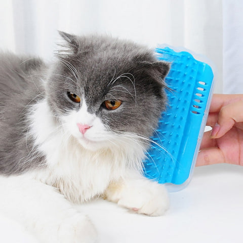 Katze selbst Groomer Haarentfernung Massage Bürste