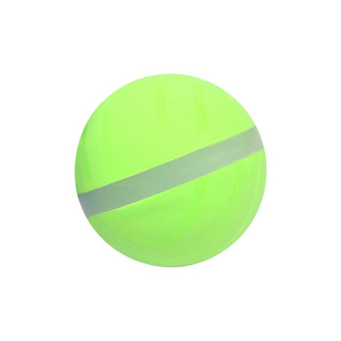 magischer Ball für Haustiere