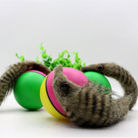 Biber Ball für Haustier