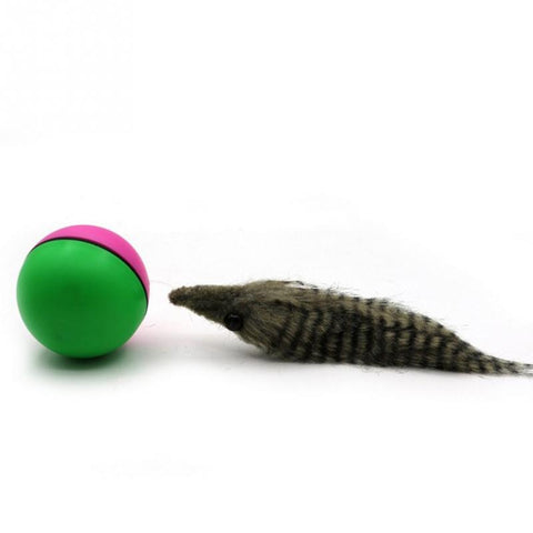 Biber Ball für Haustier